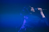「DAOKO、初の自主企画開催決定 “良い音楽と良いカルチャー”を発信」1枚目/3