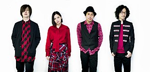 「FLOWER FLOWER、ニューアルバム『スポットライト』3月14日リリース　」