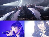 「BABYMETAL 広島グリーンアリーナで行なわれた「洗礼の儀」WOWOWにて3/31放送」1枚目/1