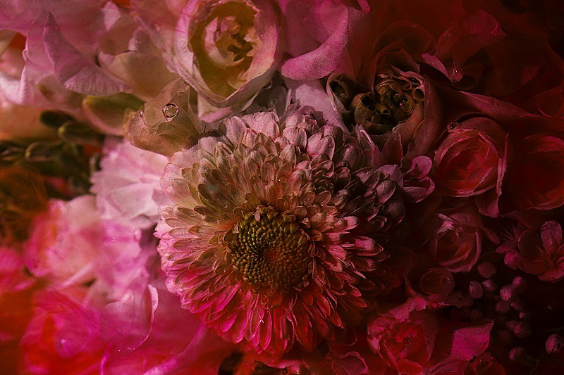 「world’s end girlfriend、新作『MEGURI』の予告動画が公開」1枚目/5