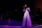 「＜ライブレポート＞Aimerが示した表現者としての進化　冬をテーマに作り上げた【LIVE TOUR 17/18 “hiver”】最終公演」1枚目/11