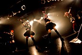 「LADYBABY 新体制発表後初の衝撃ワンマン！ 次回ツアーを発表」1枚目/8