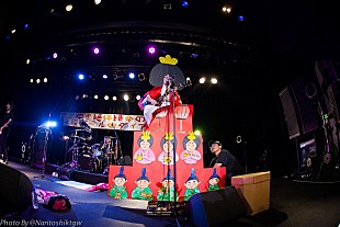 「四星球、華麗なる伏線回収で魅せた名古屋ワンマン公演のレポートが到着」