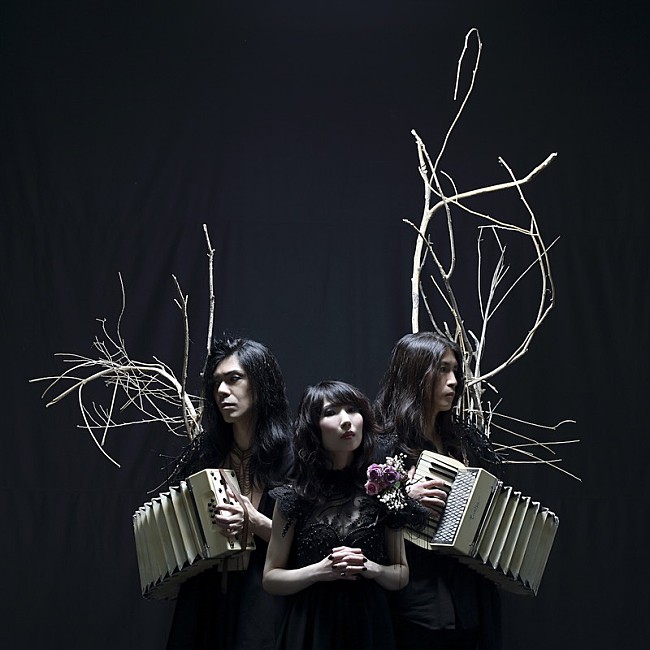 「Boris 最新アルバム『DEAR』を元に製作された映像作品を公開」1枚目/2