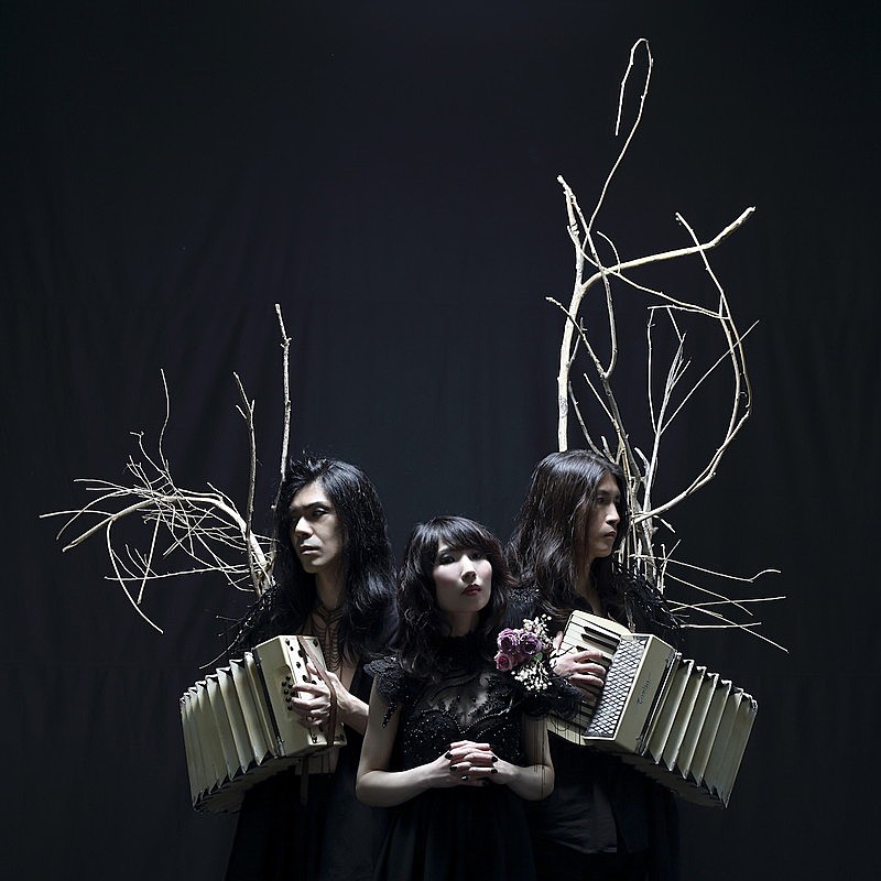 「Boris 最新アルバム『DEAR』を元に製作された映像作品を公開」1枚目/2