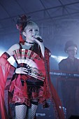 「GARNiDELiA」4枚目/10