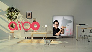 「石野卓球 aiboの鳴き声/サウンド元にオリジナル楽曲を制作！ 一風変わったミュージックビデオ公開」