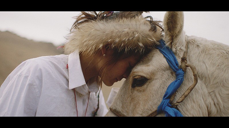水曜日のカンパネラ「メロス」MVが【第21回 アジア太平洋広告祭】ブロンズ受賞
