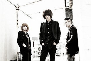 「The cold tommy、ニューアルバム発売＆レコ発ツアーを発表」