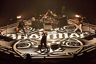 「BRAHMAN、6/13リリースDVD/BR『八面玲瓏　日本武道館』トレイラー公開」