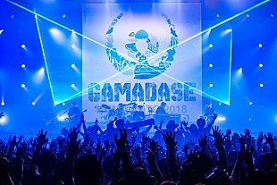 「マンウィズ企画の熊本復興イベント終演！ BRAHMAN/ホルモン/KEYTALK/和田アキ子/WANIMA/片平里菜ら集結」