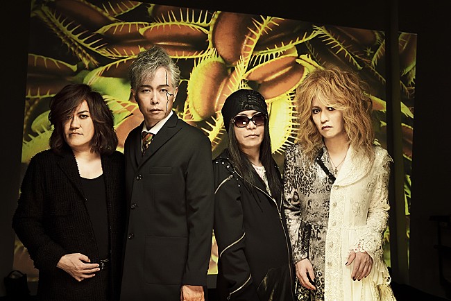 「筋肉少女帯メジャーデビュー30周年記念！　アナログ4タイトルがタワレコ限定で発売決定」1枚目/1