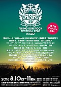 「サカナ、ユニゾン、ウーバー他39組 【RSR2018】第1弾出演アーティスト発表」1枚目/1
