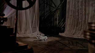 「石野卓球に続くコラボ第2弾、「aibo×小袋成彬」動画公開」