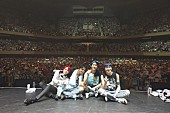 「WINNER、自身初の武道館公演にして感動のツアーファイナル！　レポートが到着」1枚目/5