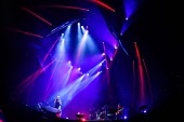 「Aimer　写真提供：FM802」3枚目/27