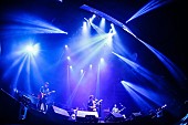 「ASIAN KUNG-FU GENERATION　写真提供：FM802」22枚目/27