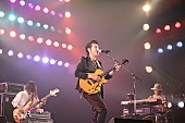「ROGUE主催【GBGB2018】ORIGINAL LOVE/布袋寅泰/FLYING KIDS/氣志團/LOOP CHILD/モーモー登場のDAY2オフィシャルレポ到着」1枚目/7