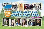 「【FM802 MEET THE WORLD BEAT 2018】 清水翔太、GENERATIONS from EXILE TRIBE、あいみょんら11組が発表」1枚目/1