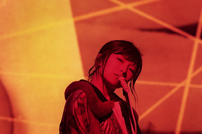 「椎名林檎、全曲サブスク・ストリーミング配信開始＆アリーナツアー開催決定」1枚目/3