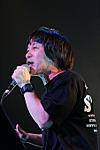 「フラワーカンパニーズ
写真提供：FM802」13枚目/31