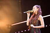「安室奈美恵、最後の全国ツアーが終演　80万人を動員した本ツアーの映像作品もリリース決定」1枚目/15