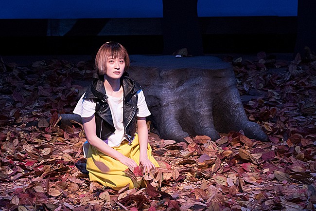 「水曜日のカンパネラ、初の劇伴作品『猫は抱くもの（オリジナルサウンドトラック）』をデジタルリリース決定」1枚目/2