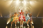 「チームしゃちほこ、RADIO FISHとのコラボレーションシングル『BURNING FESTIVAL』リリース決定」1枚目/8