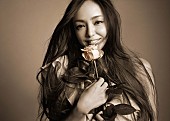「安室奈美恵、100曲以上のミュージックビデオ・コレクション放送」1枚目/1