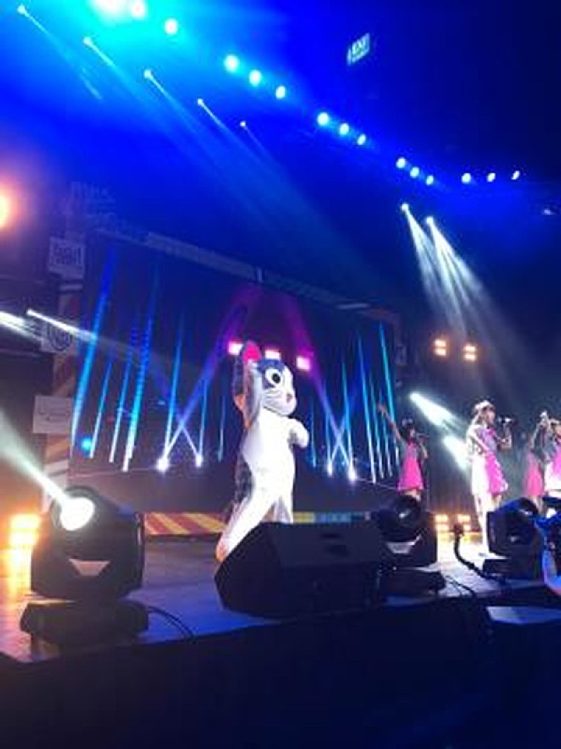 「（c）こなみかなた・講談社／こねこのチー製作委員会」3枚目/8