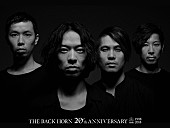 「THE BACK HORN、日本武道館公演の詳細＆ツアー追加公演を発表」1枚目/3