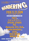 Ｐｕｆｆｙ「PUFFY/Awesome City Clubら6組追加 キャラバン型音楽フェス【WANDERING】第2弾出演者発表」1枚目/11