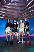 「BLACKPINK、京セラドーム大阪公演＆SG『DDU-DU DDU-DU』リリース決定」1枚目/1
