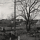 「灰野敬二+MUSQIS、リハなしぶっつけ本番の緊張感あふれるライブがCD化」1枚目/2