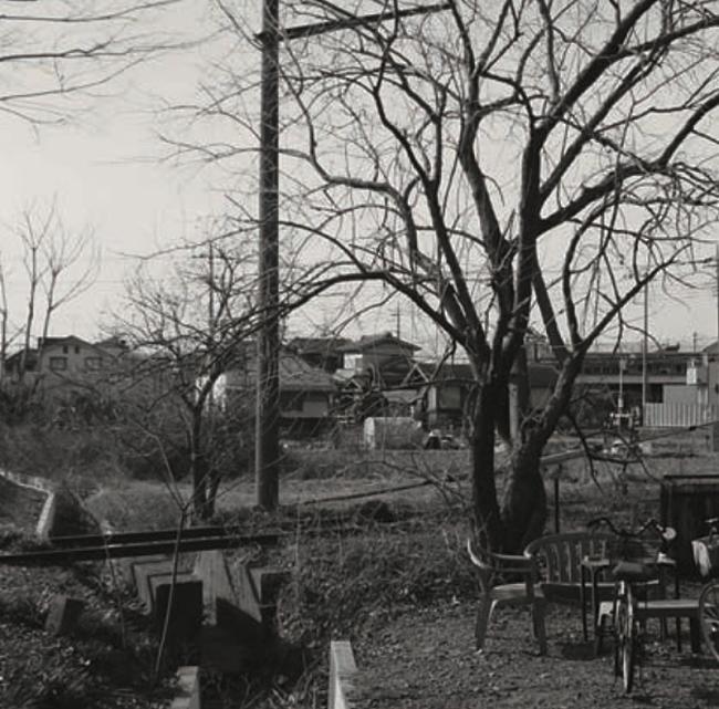 「灰野敬二+MUSQIS、リハなしぶっつけ本番の緊張感あふれるライブがCD化」1枚目/2