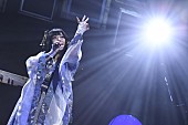 「和楽器バンド、さいたまスーパーアリーナにて【和楽器バンド 大新年会2019】開催決定」1枚目/3
