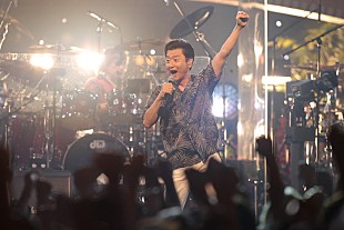 「サザンオールスターズ、NHK特番でスペシャル・スタジオライブ＆インタビュー」