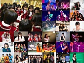 「モーニング娘。密着ドキュメンタリー・フォトブックが3冊同時発売」1枚目/1