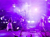 「www.franzschepers.com」5枚目/8