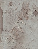 「Live Blu-ray『椎名林檎と彼奴等の居る真空地帯』」2枚目/3