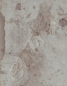 「Live DVD『椎名林檎と彼奴等の居る真空地帯』」3枚目/3