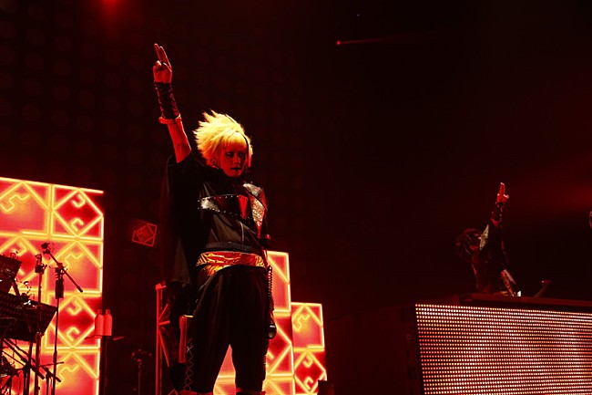 「メトロノーム、初のライブ映像化決定＆20周年〆ワンマンツアー開催決定」1枚目/7