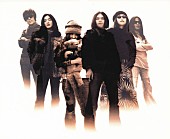 「ソウル・フラワー・ユニオン、キューン・ソニー期のオリジナル・アルバムを配信リリース」1枚目/1