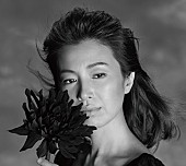 「村治佳織デビュー25周年記念アルバム『シネマ』吉永小百合、坂本龍一から推薦コメント到着」1枚目/3