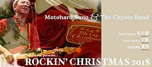 「佐野元春、年末恒例【ロッキン・クリスマス】を東名阪ツアーとして開催」