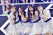 「NMB48の8周年ライブに7,000人集結、山本彩「最後までやり尽くして、NMB48人生を終わらせたい」」1枚目/4
