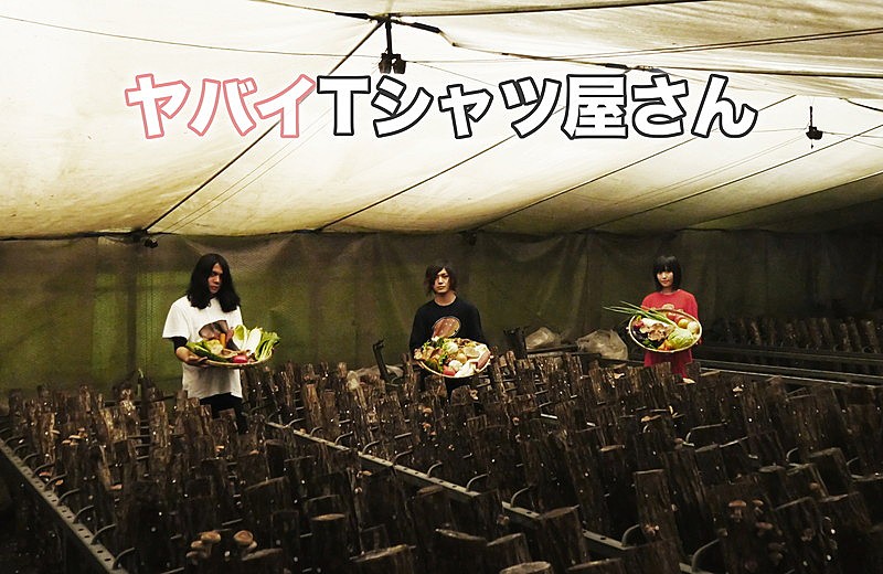 ヤバイTシャツ屋さん「ヤバイTシャツ屋さん、3rdアルバム『Tank-top Festival in JAPAN』リリース決定」1枚目/1