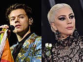 「レディー・ガガ＆ハリー・スタイルズ、2019年の【メットガラ】を共同主催」1枚目/1