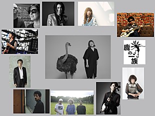 「矢野顕子、新コラボALに平井堅/細美武士/Reed and Carolineが参加決定」