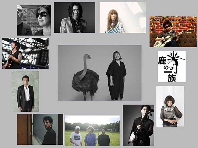 「矢野顕子、新コラボALに平井堅/細美武士/Reed and Carolineが参加決定」1枚目/6